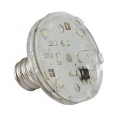 E14 LED LAMP 11 LEDS 24V BLEU ENCAPSULE